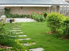墻體美化裝飾哪里有_獨(dú)具新穎的植物墻設(shè)計(jì)