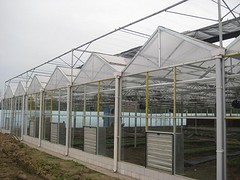 冬暖式日光溫室建造，想建冬暖式日光溫室就到建強農(nóng)業(yè)設(shè)施