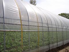 建設連棟薄膜溫室_山東精湛的連棟薄膜溫室