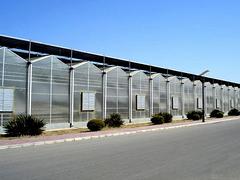 濰坊彌霧機_專業的彌霧機提供商，當屬建強農業設施