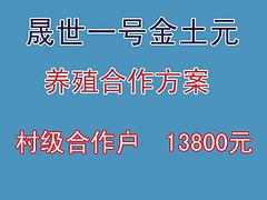 土元養(yǎng)殖哪里找|{yl}的土元養(yǎng)殖合作晟世養(yǎng)殖農(nóng)業(yè)公司提供