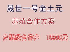 土元養(yǎng)殖價(jià)位，火熱暢銷的土元養(yǎng)殖市場(chǎng)價(jià)格情況