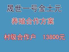 完善的土元養殖合作推薦，專注土元養殖合作