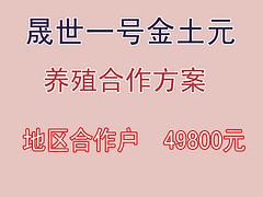 想要可靠的土元養(yǎng)殖合作就找晟世養(yǎng)殖農(nóng)業(yè)公司 {yl}的土元