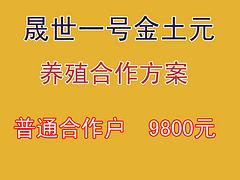 洛陽(yáng)價(jià)位合理的土元養(yǎng)殖·廠家直銷(xiāo)：方城土元