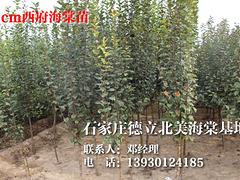 供應(yīng)河北品種好的碧桃工程苗 中國碧桃工程苗