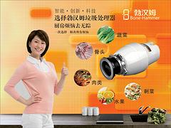 家庭食物垃圾處理器|優(yōu)質(zhì)的勃漢姆廚房食物垃圾處理器廈門廠家直銷