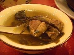 湖北省田七 價位合理的田七在哪買