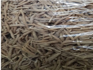 銷量好的太子參批發市場推薦_漳州太子參