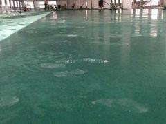 專業(yè)的環(huán)氧地坪福州坪安地坪供應：環(huán)氧地坪供應商