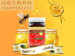 海口優質紅柳桉樹蜂蜜供應  ：海南紅柳桉樹蜂蜜
