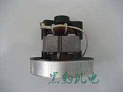 供應黑豹機電有限公司質量優質的吸塵器電機|優質吸塵器電機
