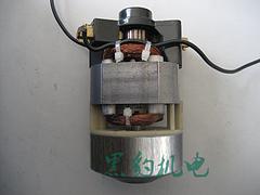 黑豹機(jī)電有限公司_聲譽(yù)好的園林工具電機(jī)公司：杭州串激電機(jī)