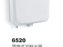 信譽好的雙檔水箱供貨商|中國馬可波羅水箱