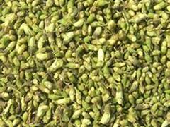 采購藥用山楂干就找金豐干鮮果品_泰安藥用山楂干