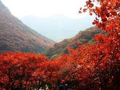 有山有水的地方比較好玩的|邢臺(tái)可信賴的愛情山景區(qū)推薦