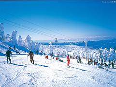 中国爱情山供应有信誉度的爱情山滑雪场  ，灵寿滑雪场