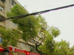 廣西函授機(jī)構(gòu)——廣西函授本科
