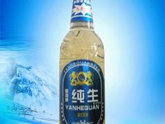 青島純生啤酒廠家|價(jià)位合理的青島嶗岸純生啤酒推薦