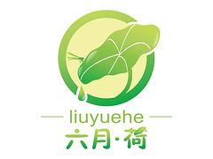 深圳室内空气检测治理价格 深圳六月荷提供服务好的深圳室内空气检测治理