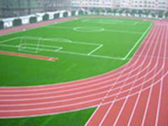 銀川PVC地板_買乒乓球場運動地板到甘肅力源