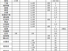 大量出售遼寧叢生白樺 東北白樺大樹