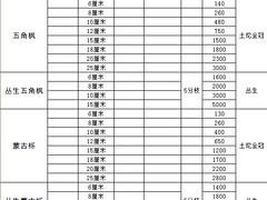 河南新疆楊——三人行苗圃_優質新疆楊供應商