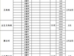 白樺綠化 成活率高的叢生白樺推薦