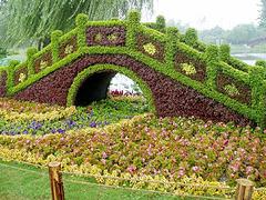 公園綠化找綠大地園林綠化工程|鄢陵綠化