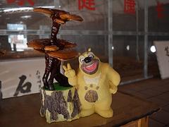 山東有品質的靈芝孢子粉品牌，靈芝破壁孢子粉經銷商