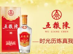 許昌PET尖莊酒價(jià)格 優(yōu)惠的五糧液-PET尖莊酒上哪買(mǎi)