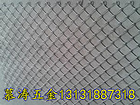 衡水供應(yīng)具有口碑的菱形網(wǎng) 承德菱形網(wǎng)