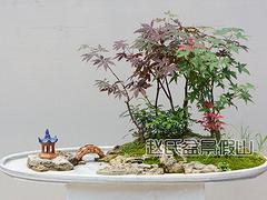 盆景盆報(bào)價_出售濰坊好用的假山石