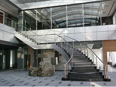 鋼結構供應廠家 福建廠房鋼結構造價