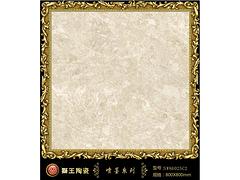 廣東獅王瓷磚——在哪里能買到新品獅王瓷磚