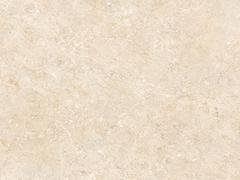 廣東獅王瓷磚批發(fā)_獅王瓷磚是不是廣東磚