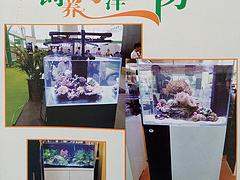 許昌水草造景魚缸：特色的水草造景魚缸，水藍(lán)玻璃制品供應(yīng)