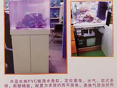 专业的PVC板海水鱼缸由水蓝玻璃制品提供：魏都PVC板海水鱼缸