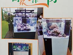 創意水草造景魚缸在許昌有售|水草造景魚缸供貨廠家