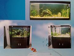 實木雕刻魚缸價格超低|去哪買優質實木雕刻魚缸