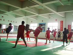 時(shí)尚武館提供專業(yè)的成人散打培訓(xùn)：東營散打