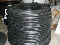 銷量好的天正電纜廠家：信譽(yù)好的優(yōu)質(zhì)電纜