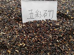 濱海綠化草花_文霖花卉苗木種植實惠的綠化草花供應