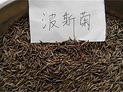 宿根花卉種植基地，優惠的黑心菊哪里有供應