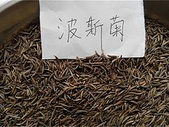 金盞菊批發(fā)：物超所值的金盞菊種子推薦