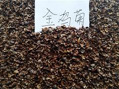 德州福祿考 供應山東優質的福祿考