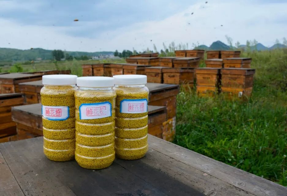 供應貴陽熱賣蜂巢蜜，貴州蜂巢蜜低價出售