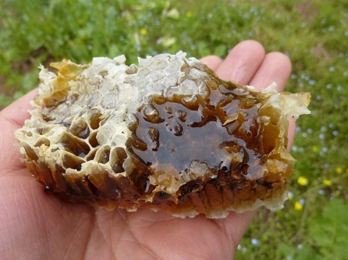 貴陽超值的蜂王漿批發供應 價格合理的優質的蜂王漿