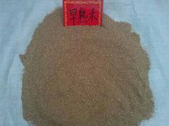 早熟禾市場行情資訊——安徽哪里有賣早熟禾