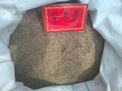 為您推薦具有口碑的防塵草種 |北京草坪種子